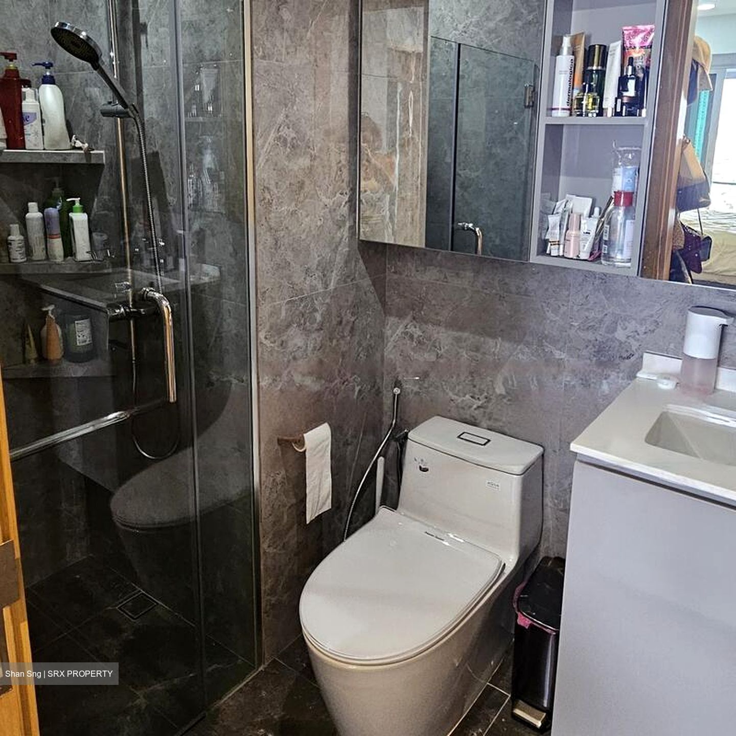 Eight Riversuites (D12), Condominium #473296391